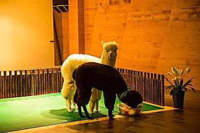 育碧《全境封锁》《阿凡达》开发工作室负责人离职